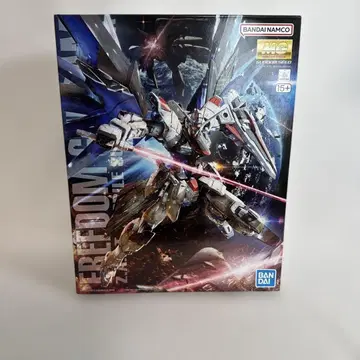 MG 프리덤 건담 Ver.2.0