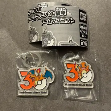 포켓몬 30주년 메탈 참 마스코트 리자몽 파이리 세트