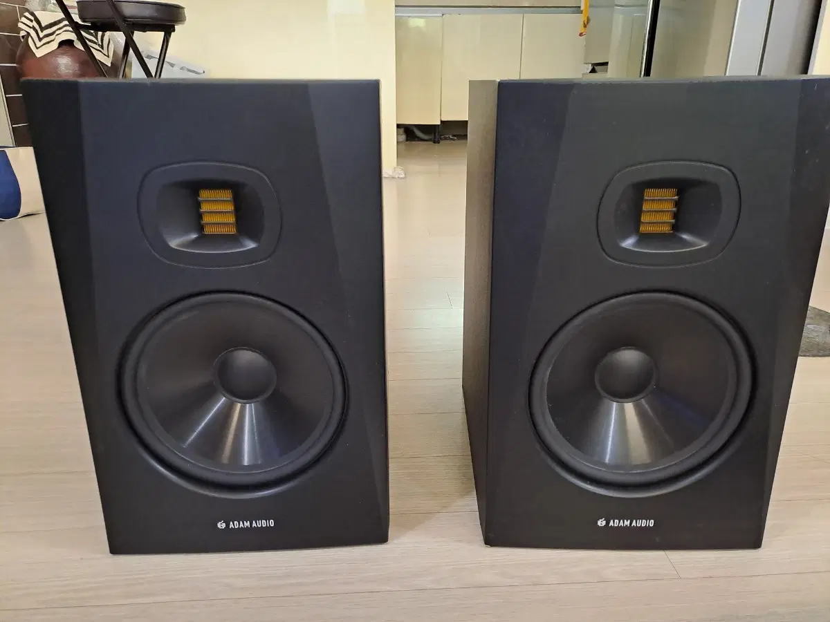 ADAM AUDIO T8V 스피커 판매합니다