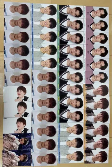 와타나베 쇼타 디타카 세트