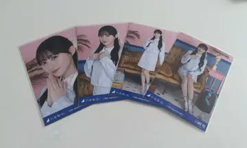 카와사키 사쿠라 14주년 기념 세미 컴프 노기자카46 브로마이드 애니버서리