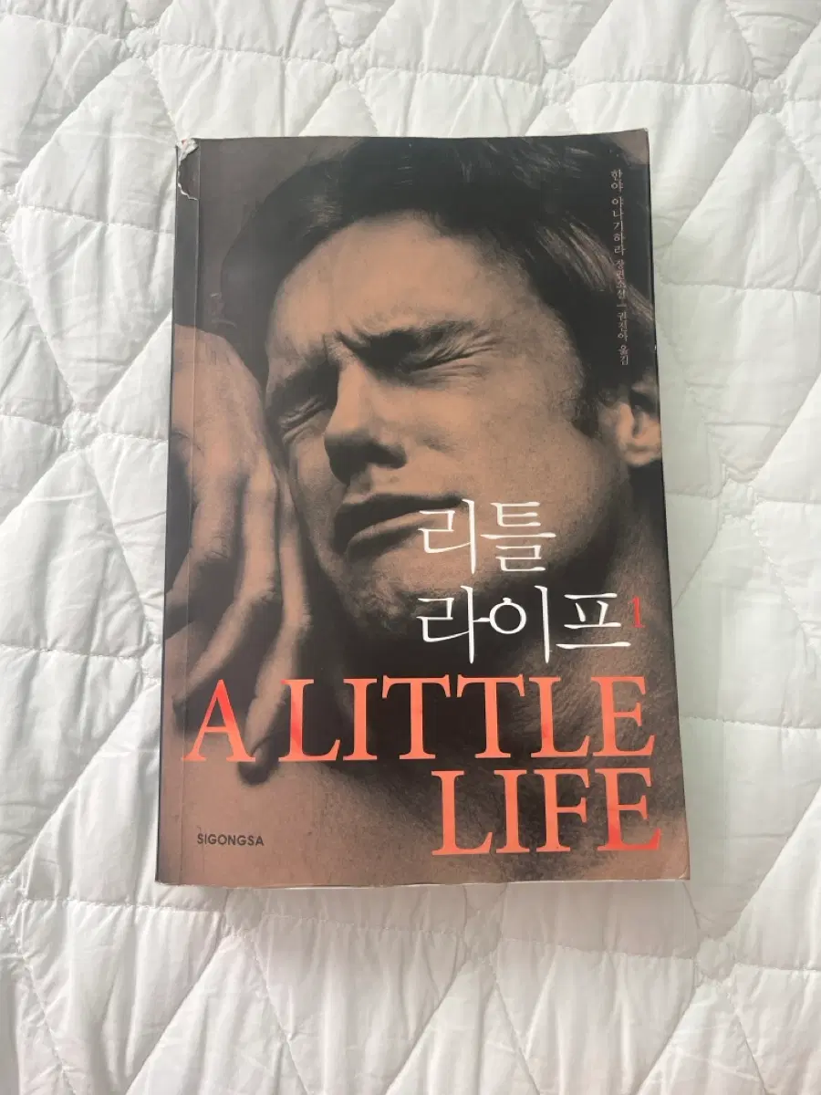 리틀 라이프1