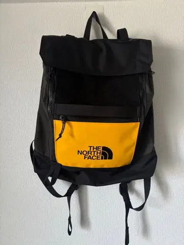 THE NORTH FACE 스케이트보드용 백팩!