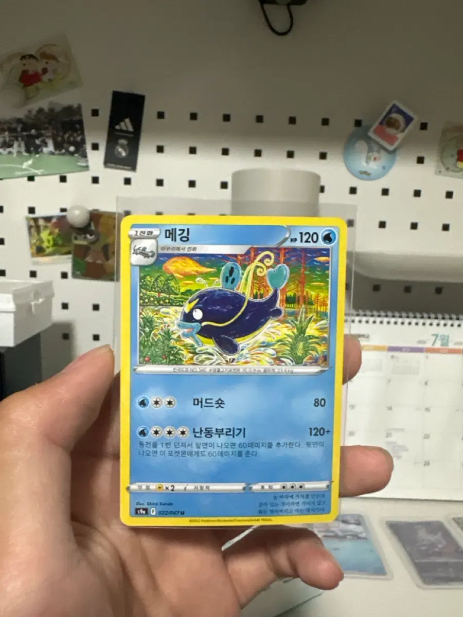 메깅 일반카드 신지칸다