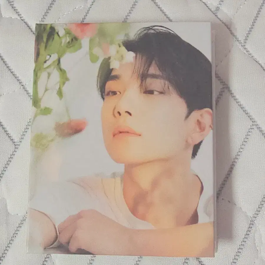 세븐틴 조슈아 캐럿반 앨범
