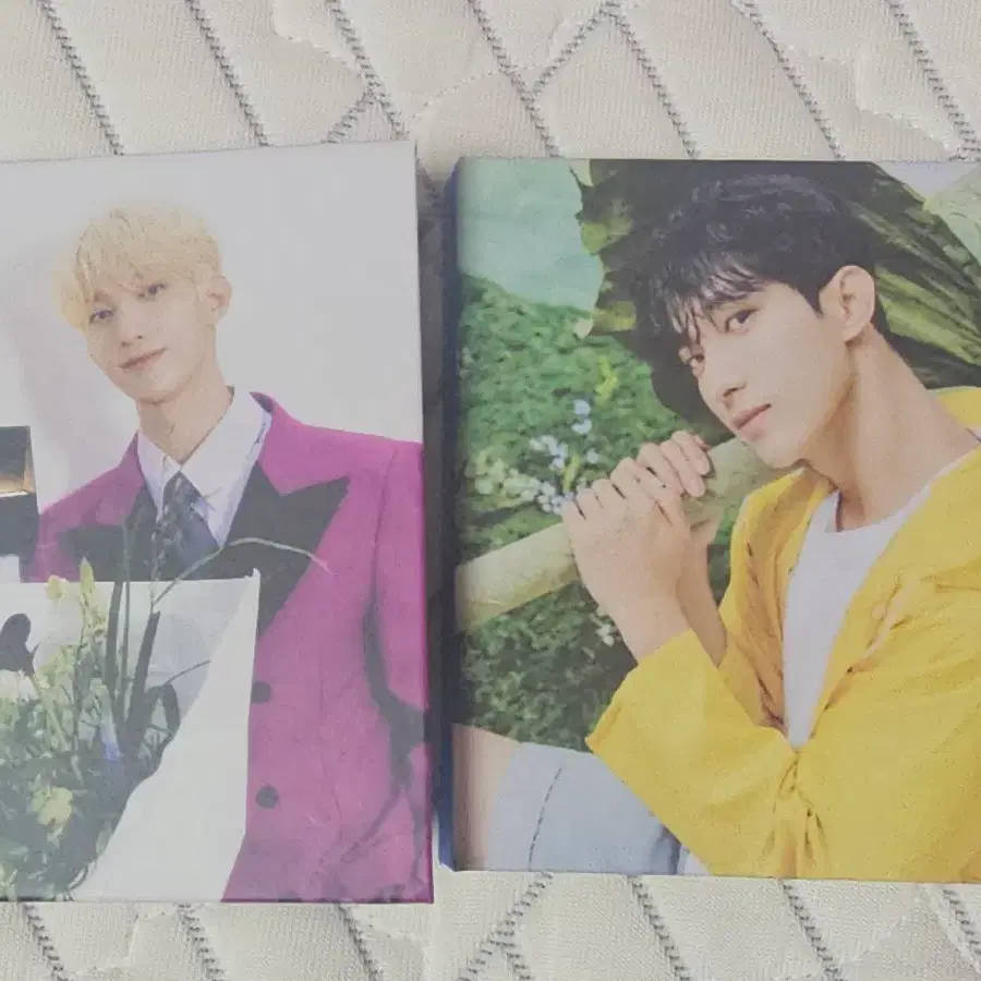세븐틴 도겸 캐럿반 앨범