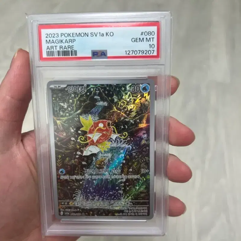 포켓몬카드 잉어킹 신지칸다 psa10