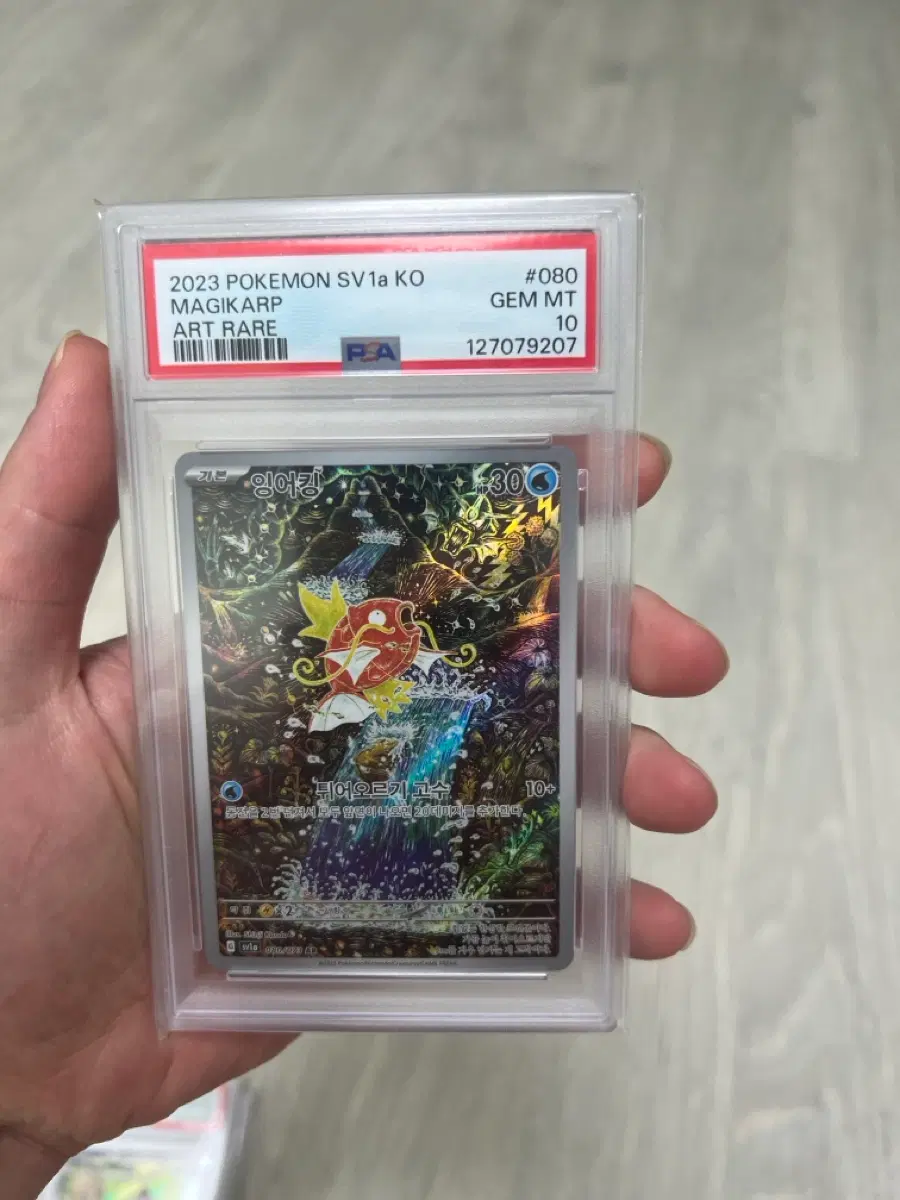 포켓몬카드 잉어킹 신지칸다 psa10