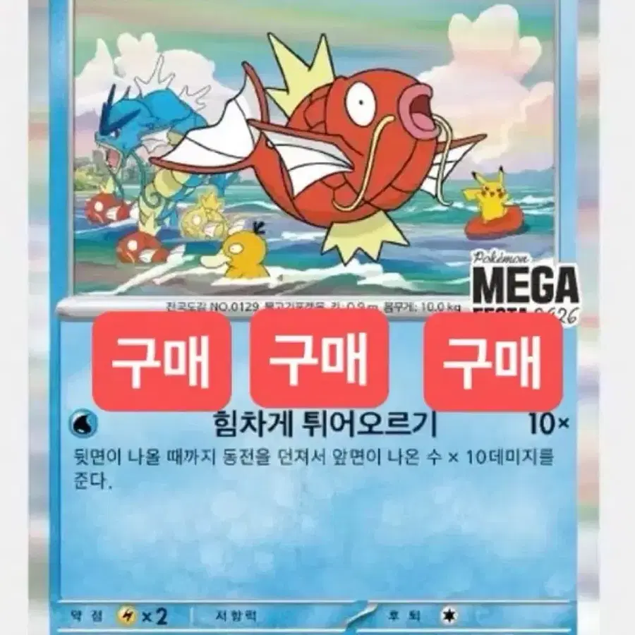 잉어킹카드 100장 구매 오늘까지
