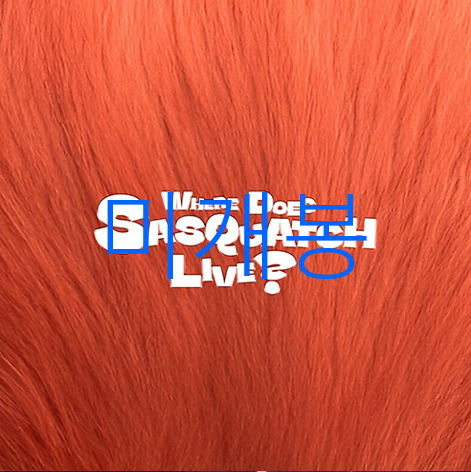 [미개봉] 지올팍 (Zior Park) - Where Does Sasquatch Live? (CD)