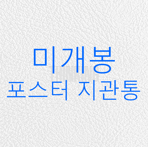 [미개봉] 지코 (ZICO) - 1집 / Thinking (포스터 + 지관통, 풍선, CD)