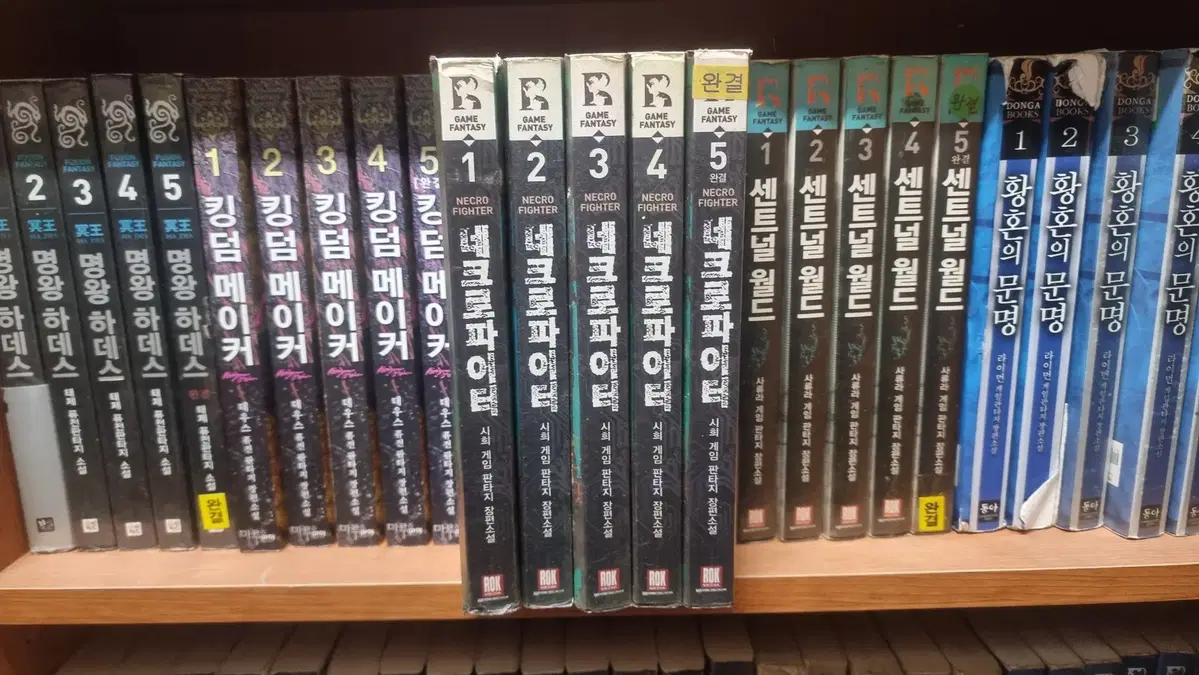 네크로파이터 1-5 완 시희 게임판타지 소설