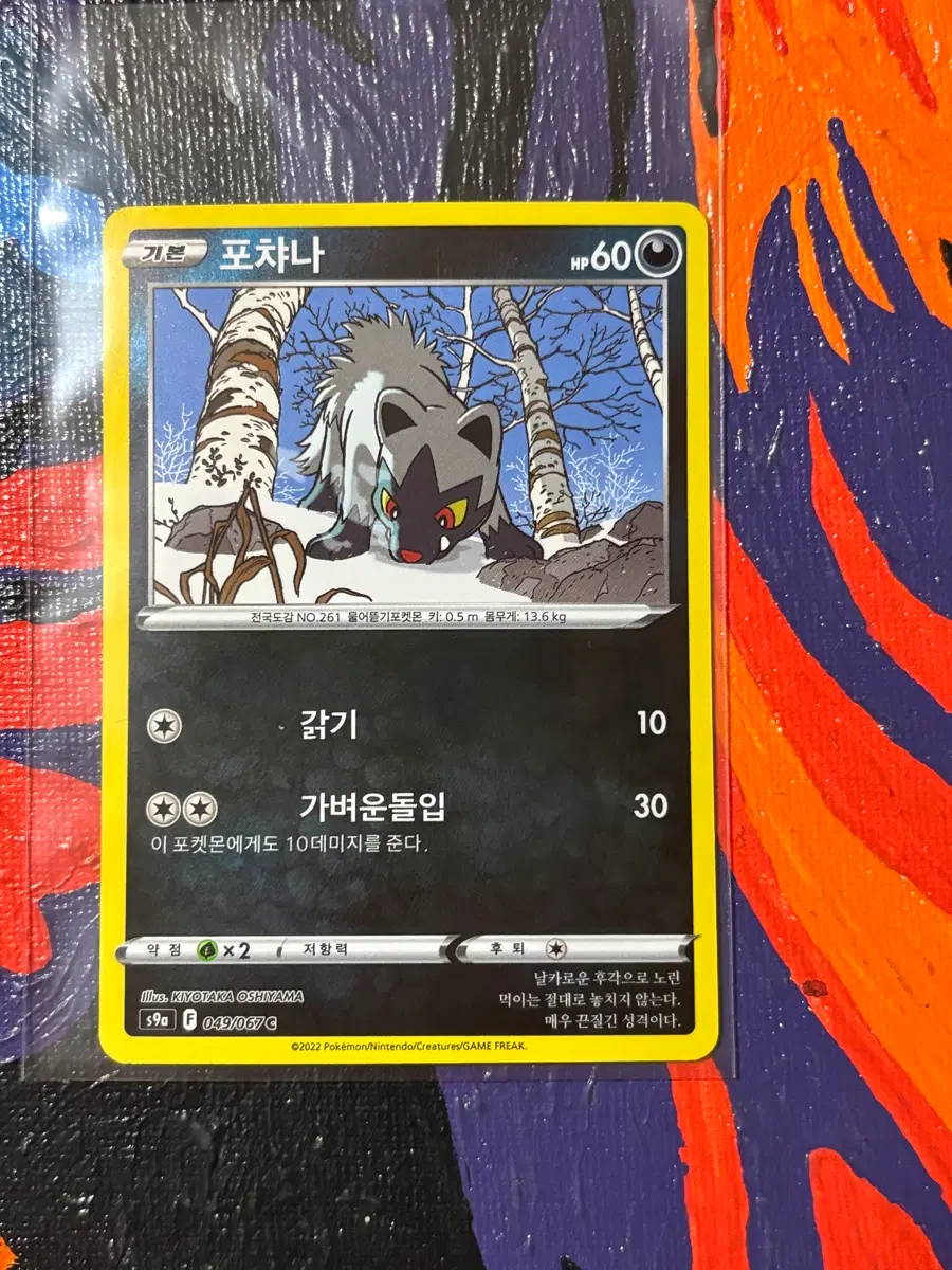 포켓몬스터 포챠나s9a 포켓몬 인테리어 소품 꾸미기용 포장용