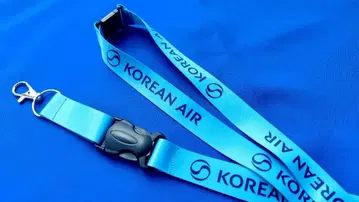 코리안 에어 대한항공 넥스트랩 스카이블루 스카이팀 KOREANAIR