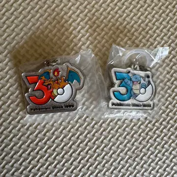 포켓몬 30주년 메탈 참 리자몽 거북왕 2세트