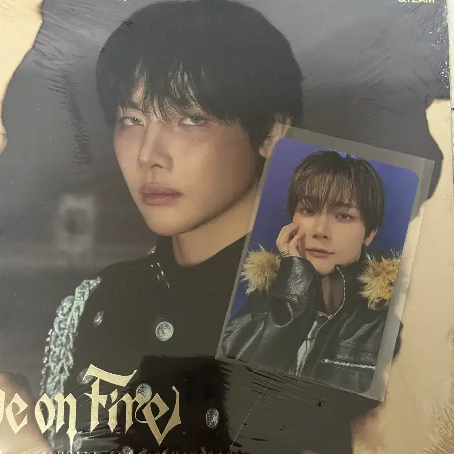 &team Go in blind yizhiyu polaroid | Bunjang Global