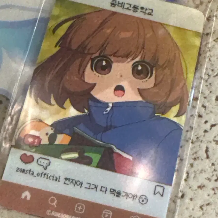 좀비고 팝업 포카 교환구해요