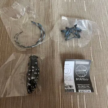 카미키리무시 생물대도감