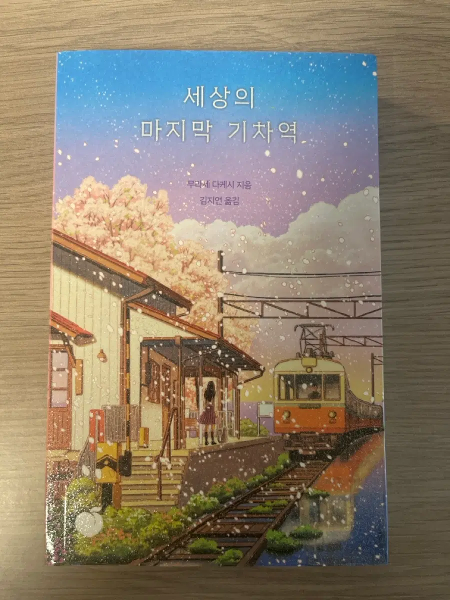 세상의 마지막 기차역 무라세 다카시 지음