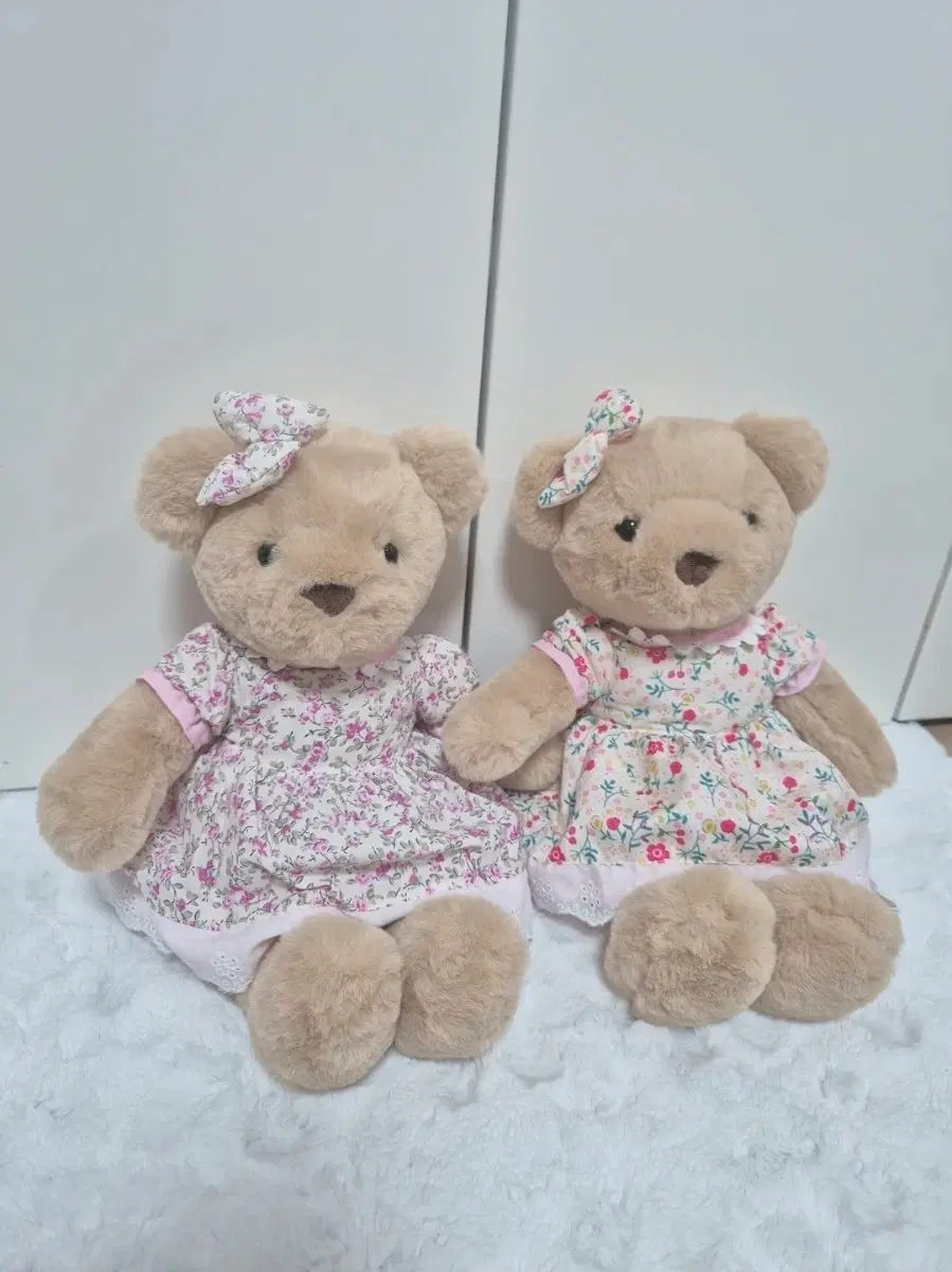 정품)드레스베어M 인형/새상품/애착인형 강추