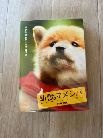 어린 짐승 마메시바 DVD-BOX