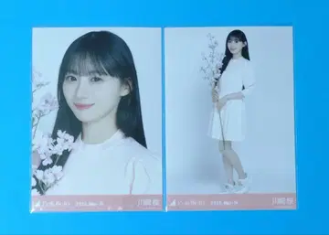 노기자카46 카와사키 사쿠라 벚꽃 컬러 코디 브로마이드