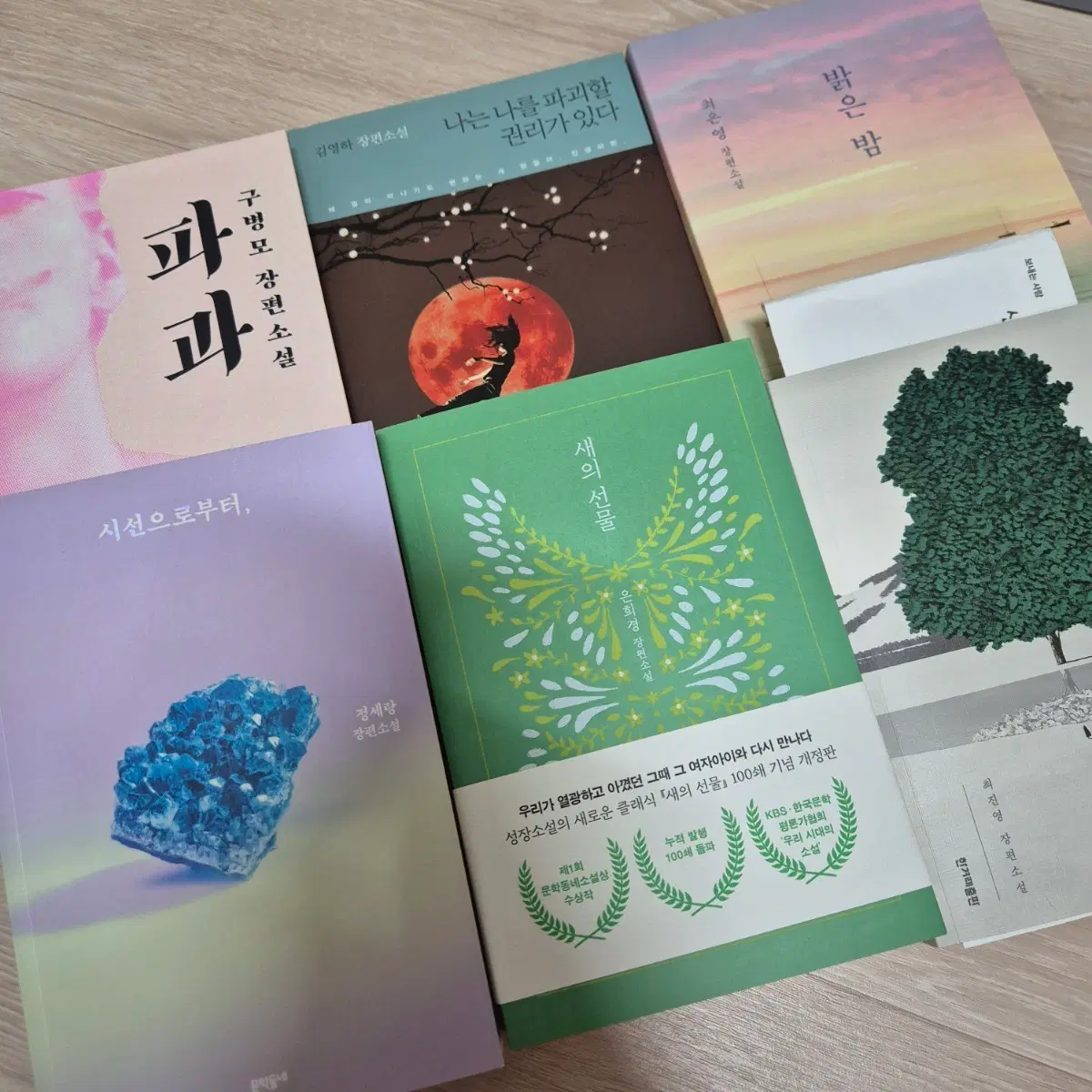 파과, 밝은 밤, 새의 선물, 시선으로부터, 단 한 사람 등 책 일괄 판매