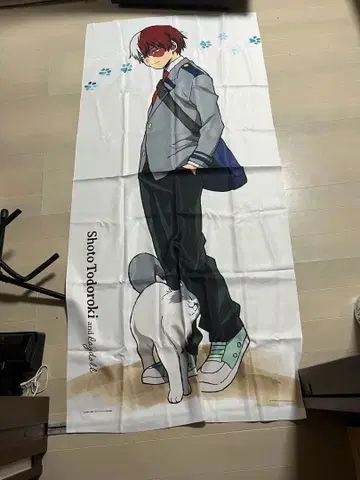 히로아카 토도로키 쇼토 BIG 크로스 제일복권 고양이와 휴식 등신대