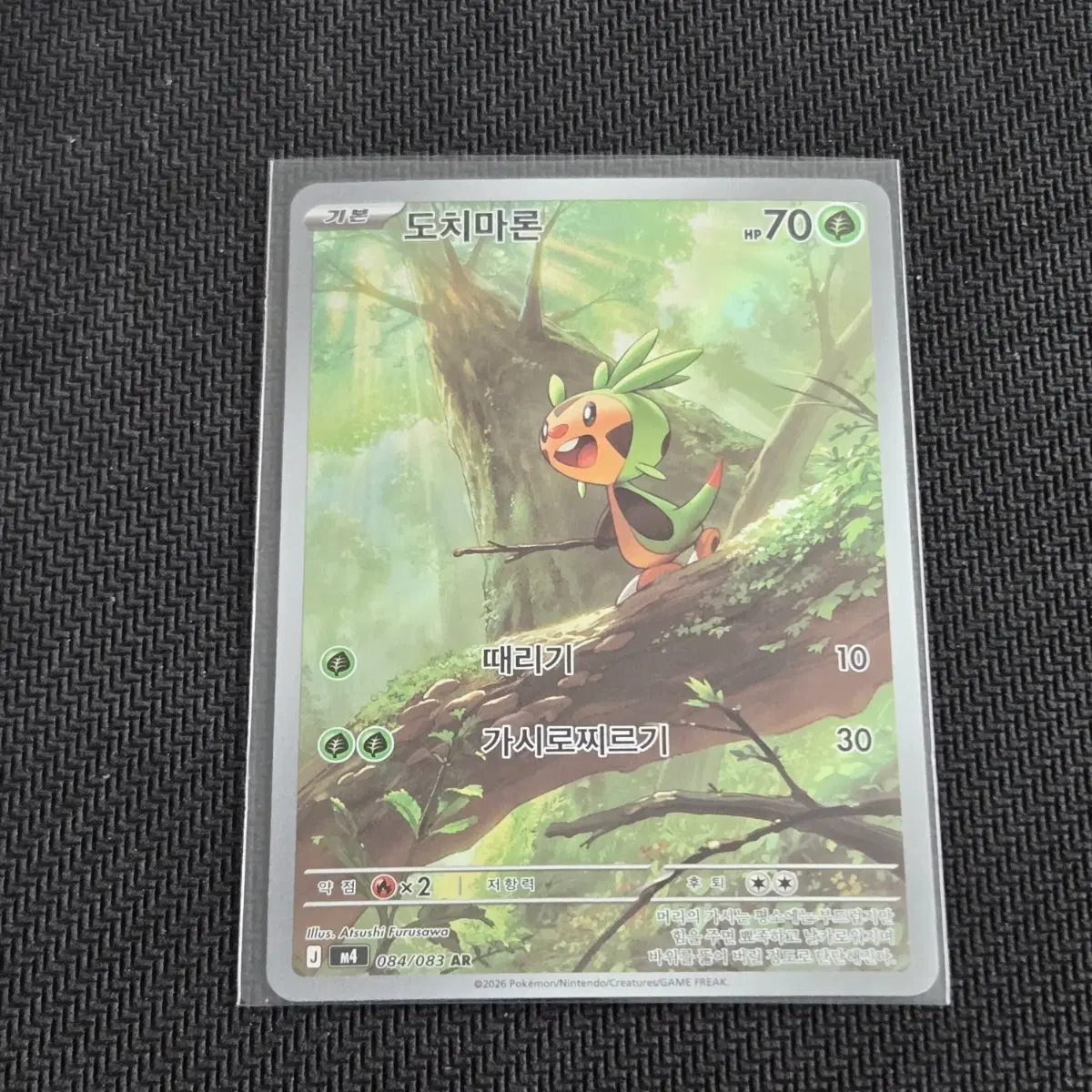 도치마론 AR / M4 포켓몬 카드 덱소스