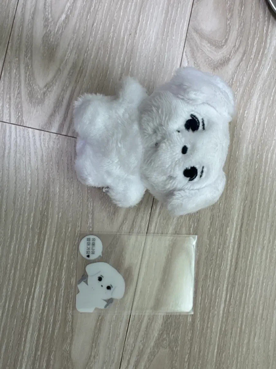 아이유 징뭉이