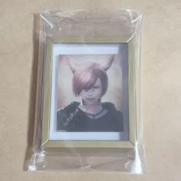 FF14 프레임 마그넷 초상화 그라하 티어 수정공 그라하