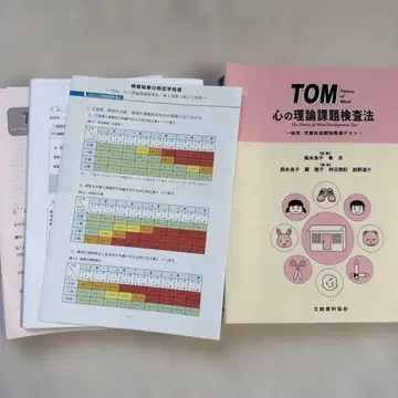 TOM 마음 이론 과제 검사법 유아 아동 사회 인지 발달 테스트