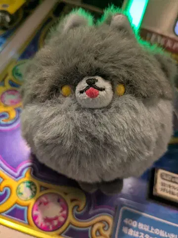 꼬리 붕붕! 복슬복슬 늑대님 봉제 인형 마스코트 키링