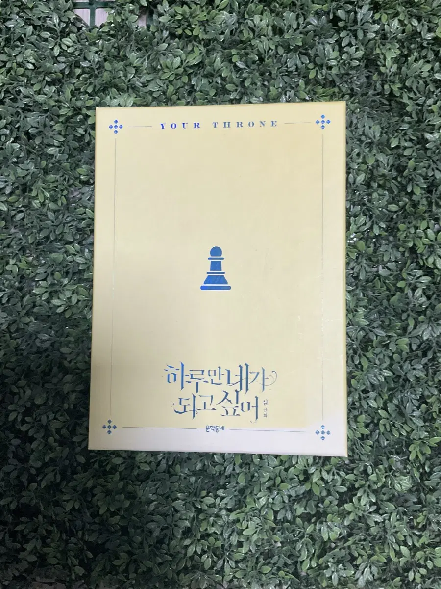 하루만 네가 되고싶어 2권 한정 특별판