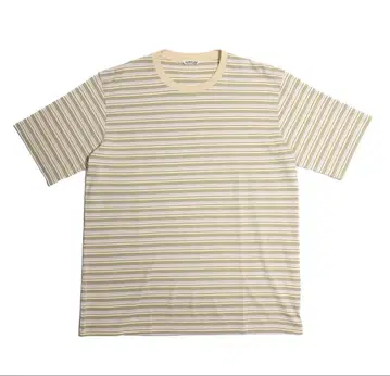 AURALEE HARD TWIST COTTON BORDER TEE