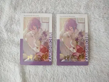 프로세카 프로젝트 세계 epic card 에피카 금박 카미시로 루이