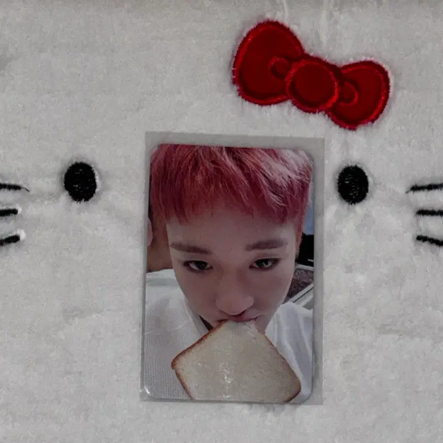 박지훈 Bodyelse 뮤앤드 특전 식빵포카