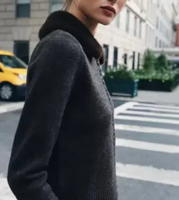옷깃 탈부착식 ZARA 인조 모피 라펠 니트 자켓 그레이 자라