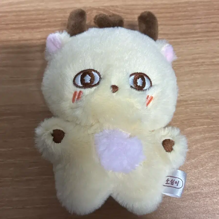 박지훈 소심이 키링, 포카