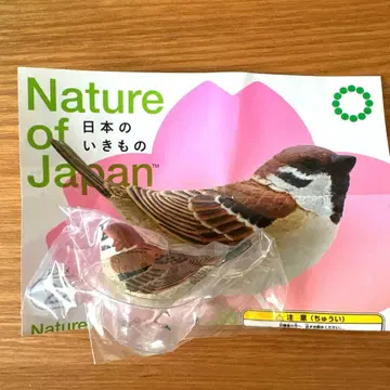 일본의 생물 참새 Nature of Japan