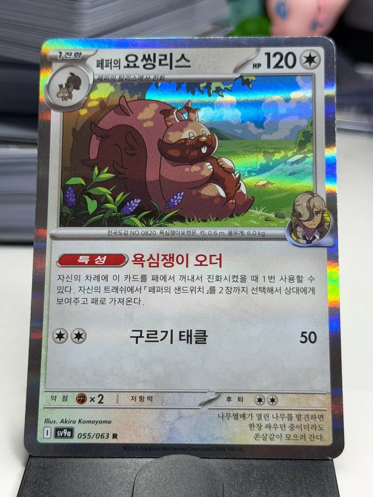 페퍼의 요씽리스 sv9a 055/063 R (500원)