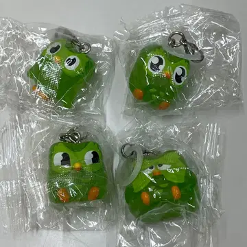 듀오링고 세미 컴플리트