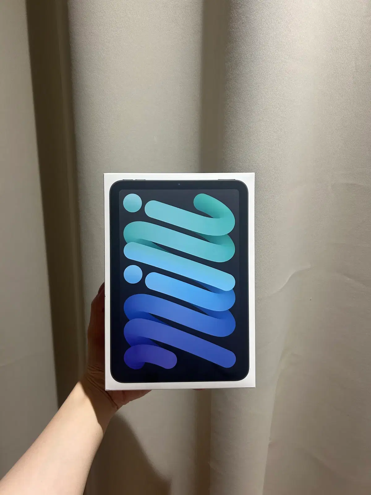 애플 아이피드 미니 a17 pro 256GB Wifi