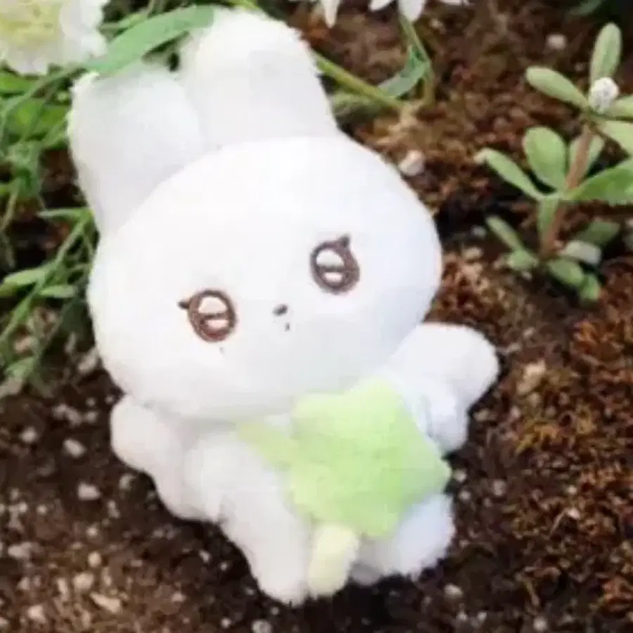 엔시티 위시 시온 인형 양도합니당