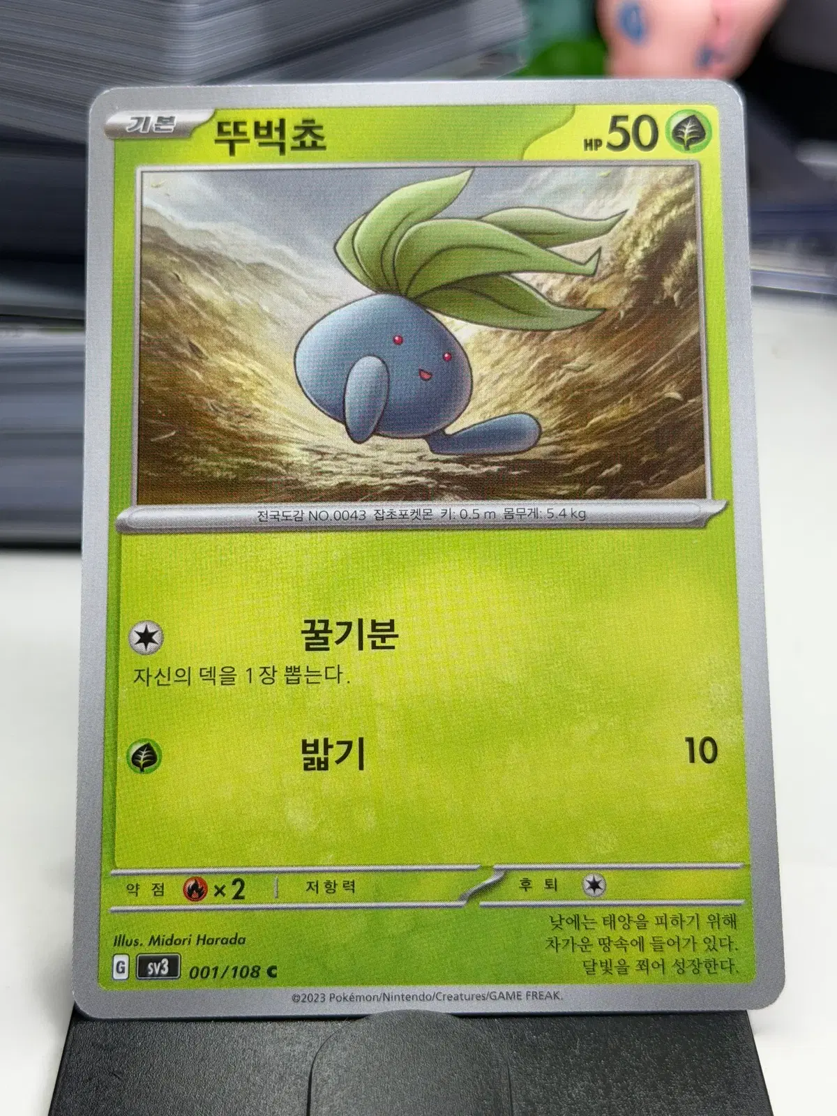뚜벅쵸 sv3 001/108 C (300원)
