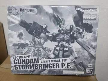 MG GUNDAM STORMBRINGER P.F. F.A. 세트