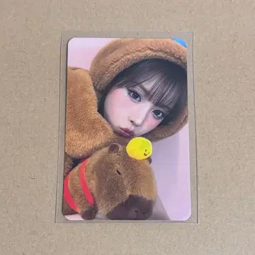 [ 유출 없음 ] NMIXX 지우 makestar 타이베이 카피바라 트레이딩 카드