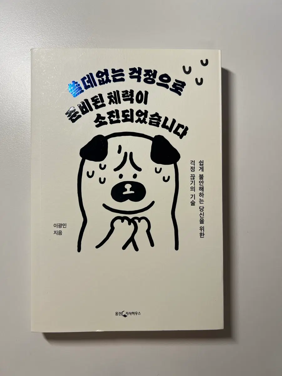 쓸데없는 걱정으로 준비된 체력이 소진되었습니다: 쉽게 불안해하는 당신을 위한 걱정 끊기의 기술
