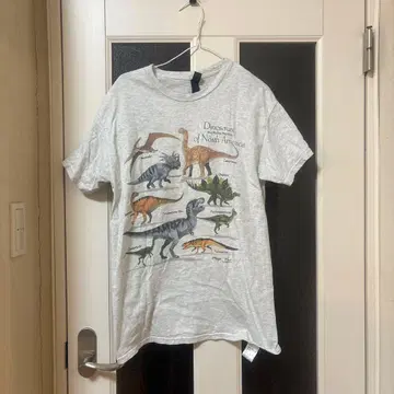 BEAMS 티셔츠 공룡