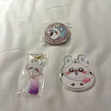 치이카와 (먼작귀) 모구모구 본포 오타루 모몬가